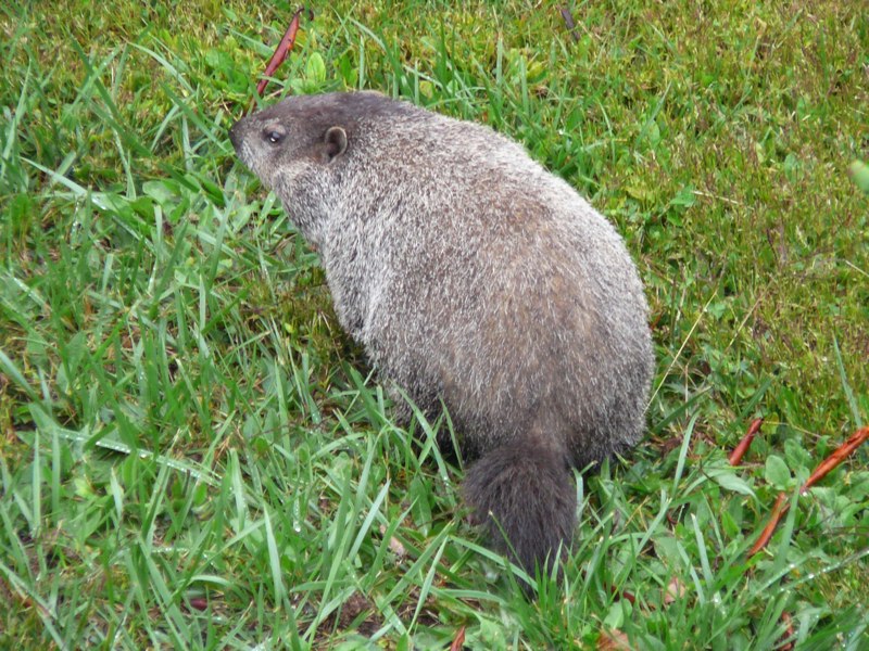 image10